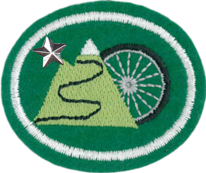 Файл:Mountain Biking - Advanced AY Honor.png