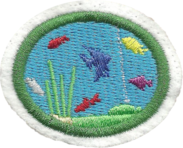 Файл:Fishkeeping AY Honor.png