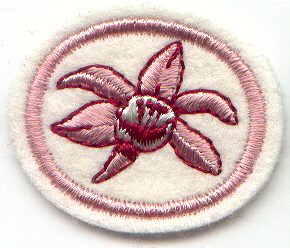 Файл:006040.jpg