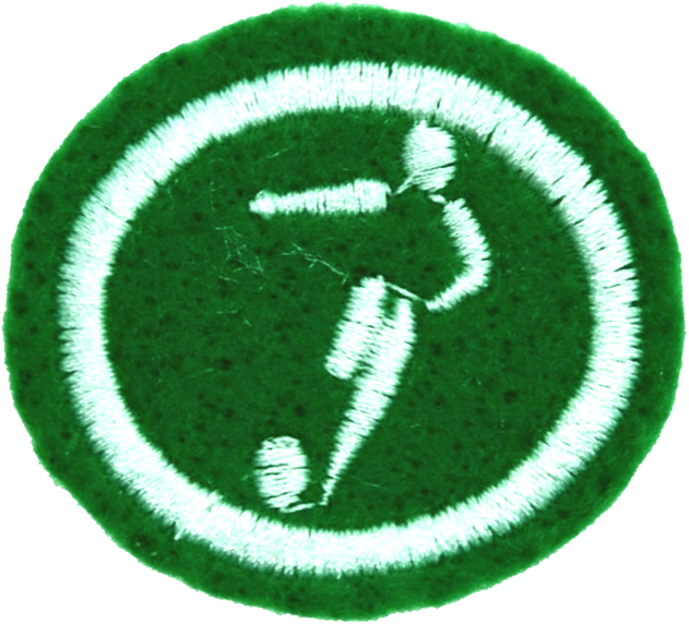 Файл:Futsal AY Honor.png