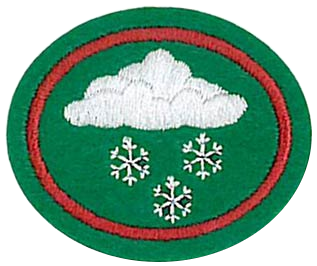 Файл:Cold Weather Survival AY Honor.png