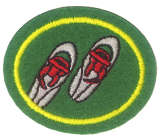Файл:Snowshoeing AY Honor.png