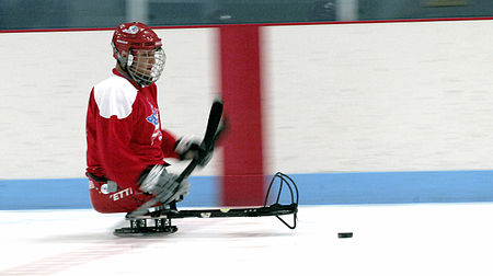 Файл:450px-Sledge hockey player.jpg