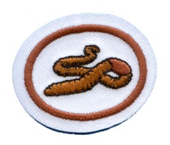 Файл:Honor worms.jpg