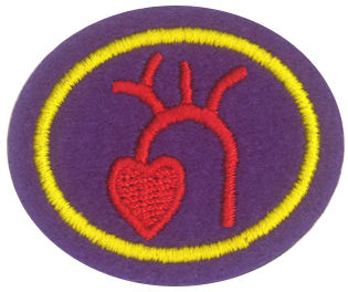 Файл:Heart and Circulation Honor.png