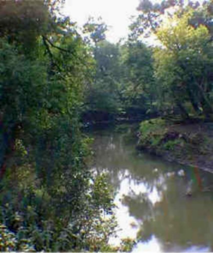 Файл:PlumCreekMinnesota.jpg