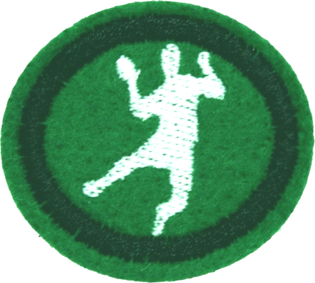 Файл:Handball AY Honor.png
