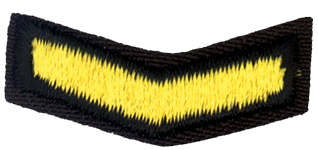 Файл:Шеврон провідник.png