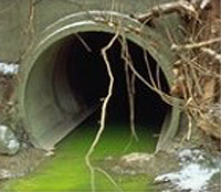 Файл:Water pollution.jpg
