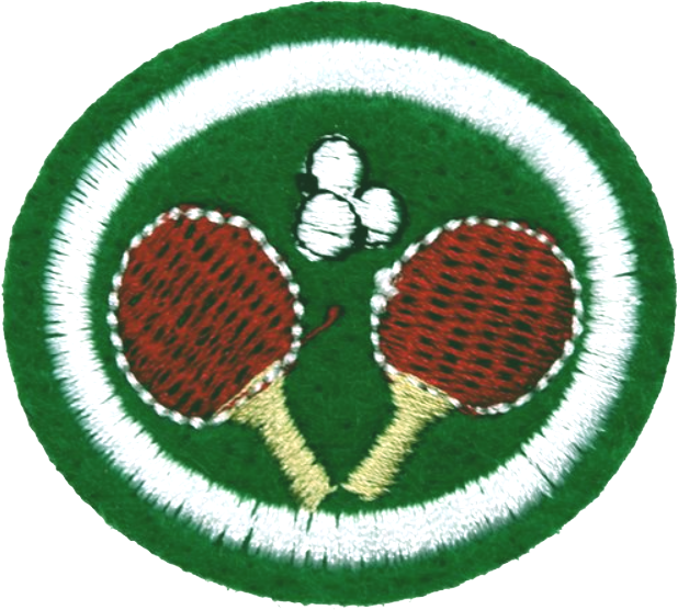 Файл:Table Tennis AY Honor.png