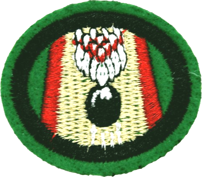 Файл:Bowling AY Honor.png