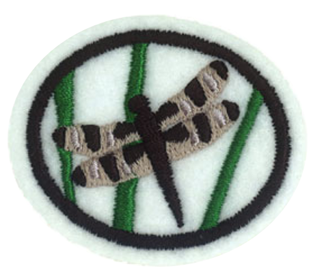 Файл:Odonates AY Honor.png