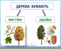 Миниатюра для версии от 20:05, 24 марта 2023