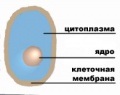 Миниатюра для версии от 20:34, 8 апреля 2012