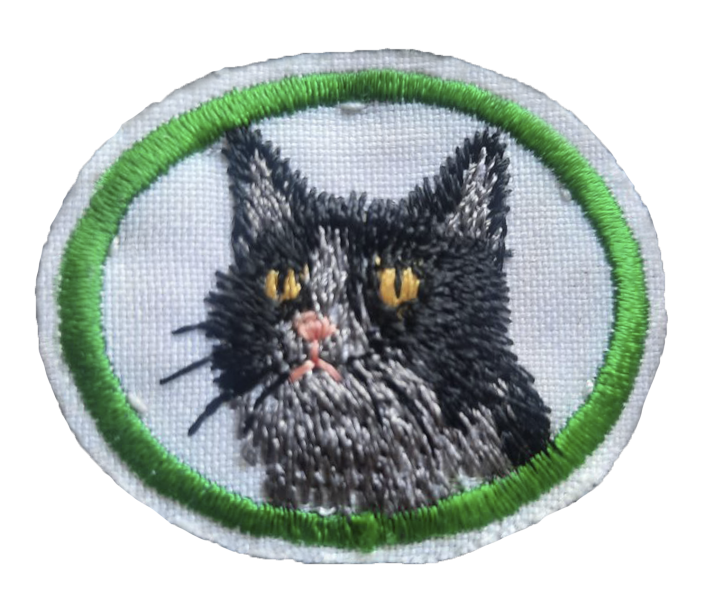 Файл:Коти.png