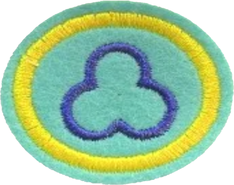Файл:02 - The Trinity AY Honor.png