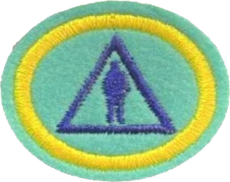 Файл:07 - Nature of Humanity AY Honor.png