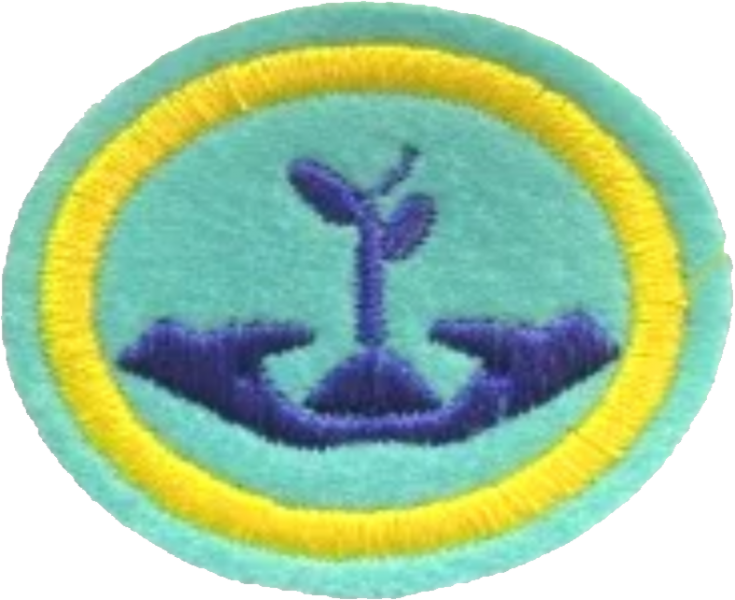 Файл:11 - Growing in Christ AY Honor.png