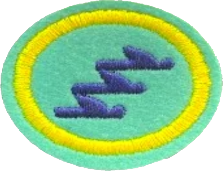 Файл:13 - The Remnant and its Mission AY Honor.png