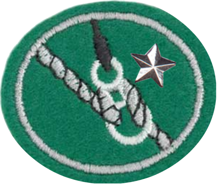 Файл:Abseiling Advanced AY Honor.png