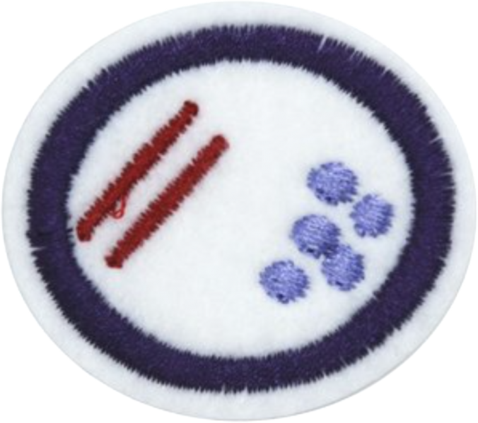 Файл:Bacteria AY Honor.png
