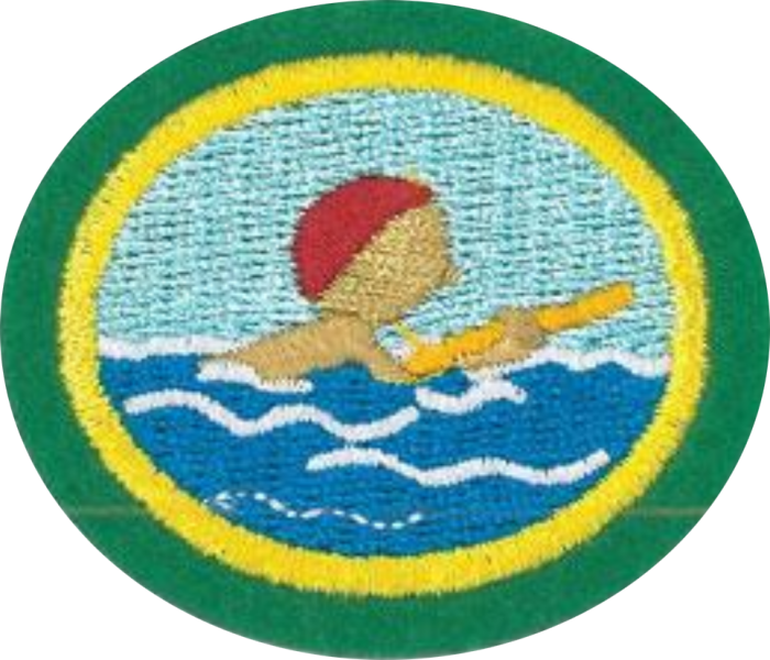 Файл:Basic Water Safety AY Honor.png