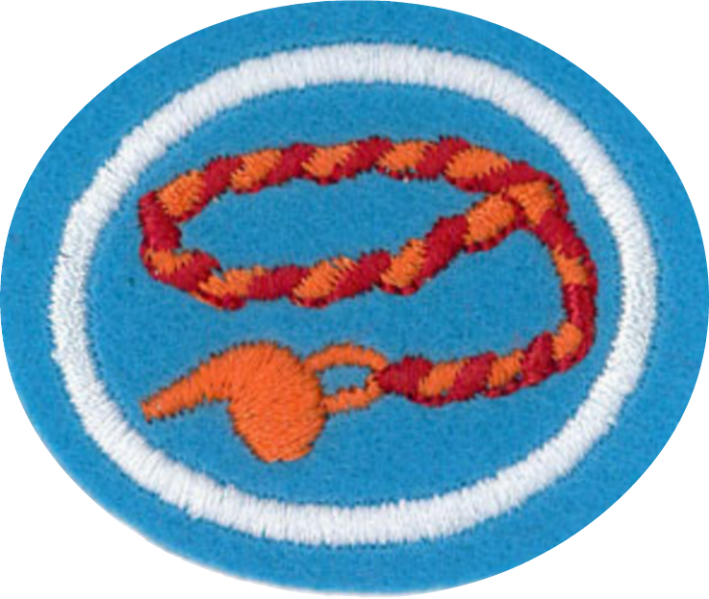 Файл:Braiding AY Honor.png