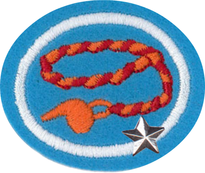 Файл:Braiding Advanced AY Honor.png