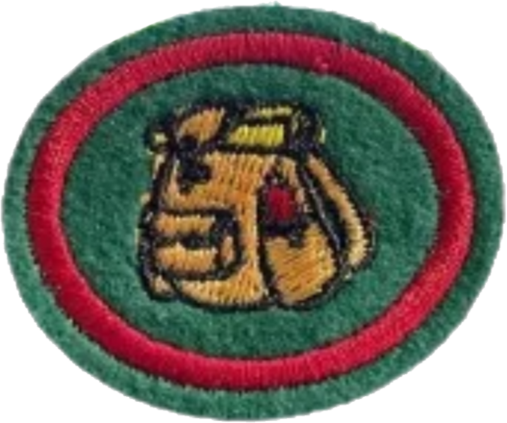 Файл:Bushcraft AY Honor.png