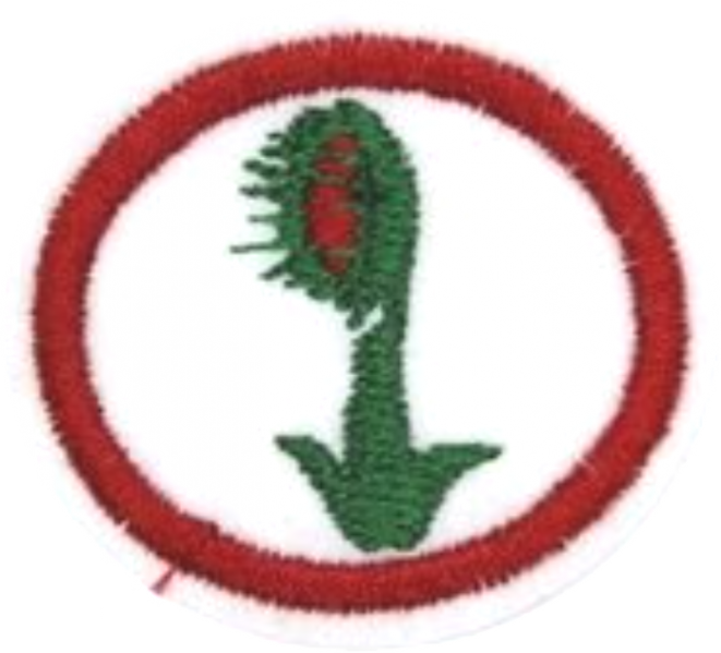 Файл:Carnivorous Plants AY Honor.png