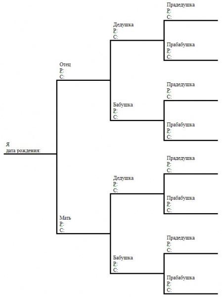 Файл:Genealogy tree.jpg