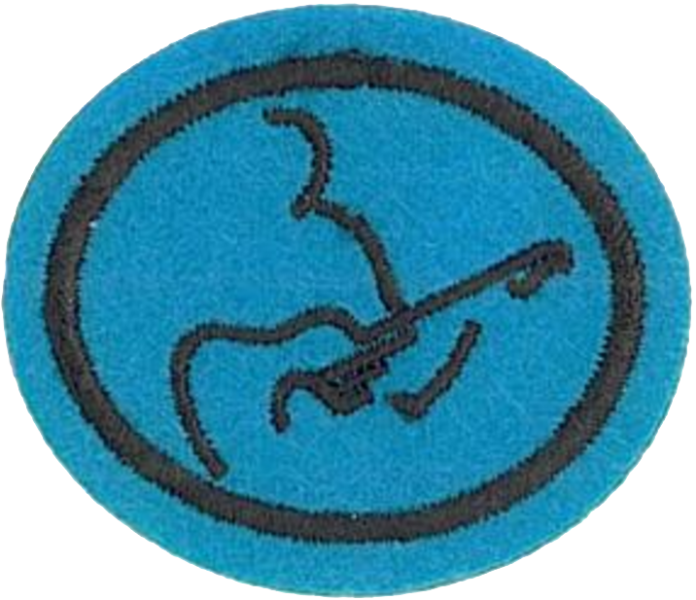 Файл:Guitar AY Honor.png