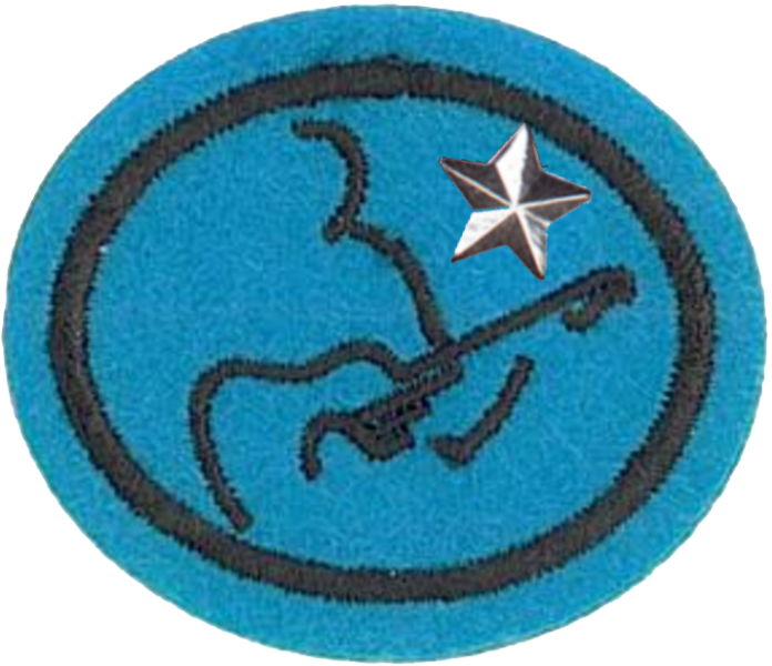 Файл:Guitar Advanced AY Honor.png