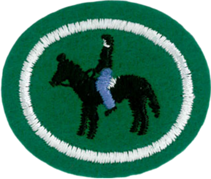 Файл:Horsemanship AY Honor.png