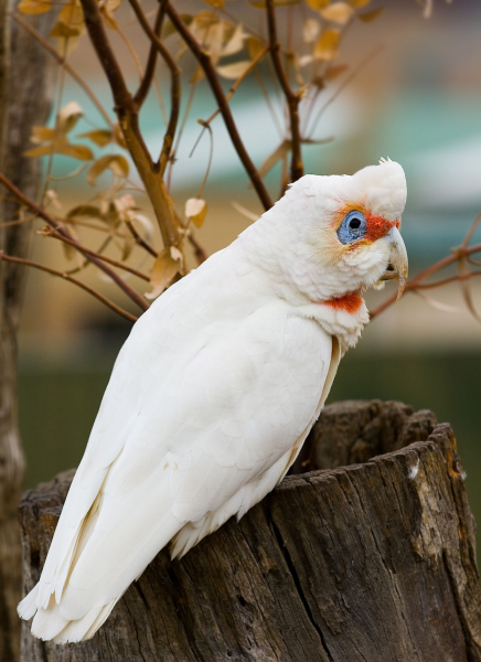 Файл:Image 2024-07-15 01-09-01.png