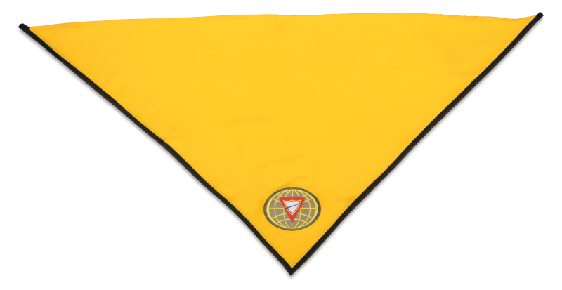 Файл:PathfinderStaffEmbroideredScarf PF.png