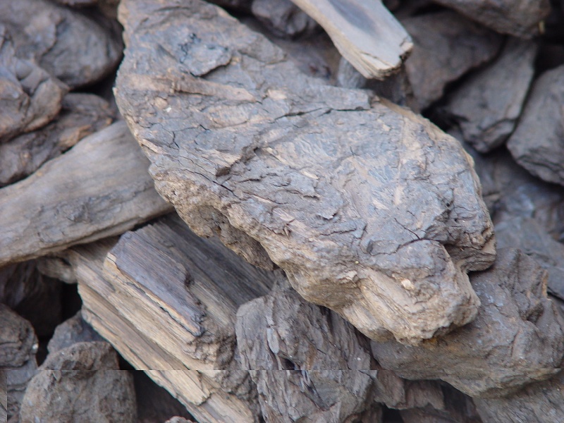 Файл:Pliocene Lignite Coal Serbia.jpg