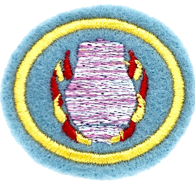 Файл:Raku AY Honour.png