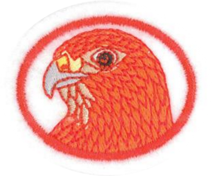 Файл:Raptors AY Honor.png