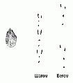 Миниатюра для версии от 10:15, 9 марта 2010