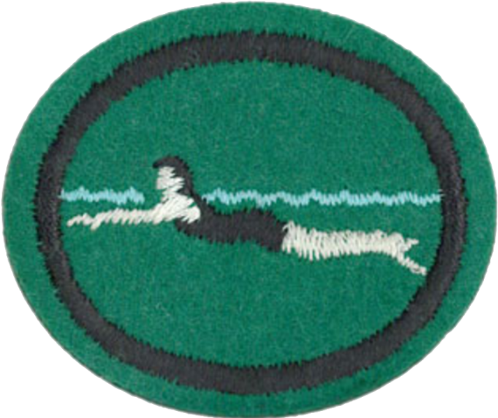 Файл:Swimming Beginners AY Honor.png