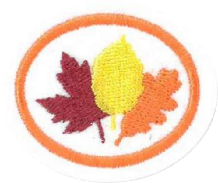 Файл:Temperate Deciduous Forests AY Honor.png