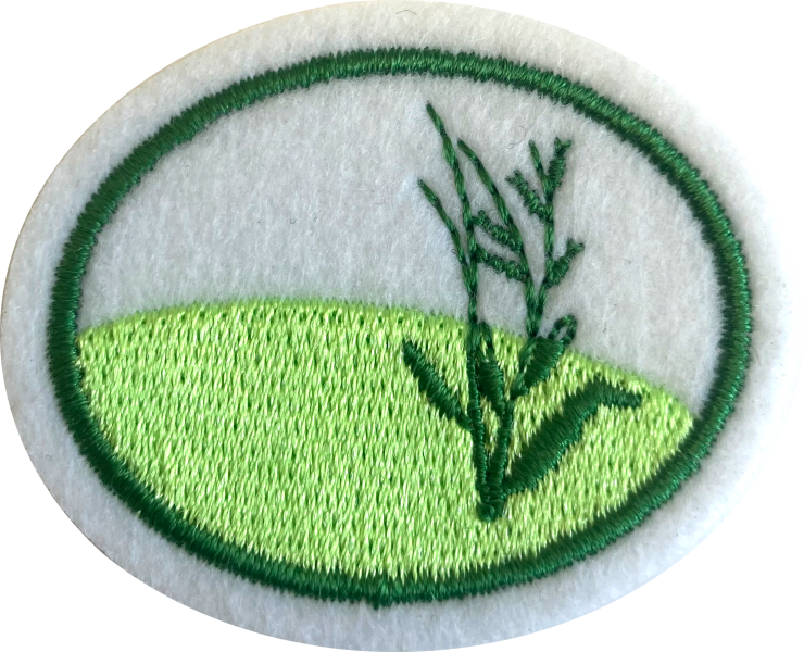 Файл:Temperate Grasslands AY Honor.png