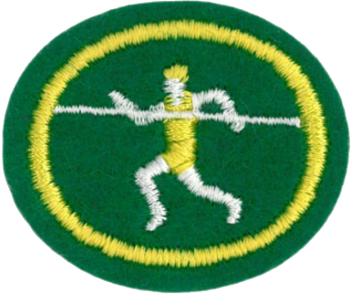 Файл:Track and Field AY Honor.png