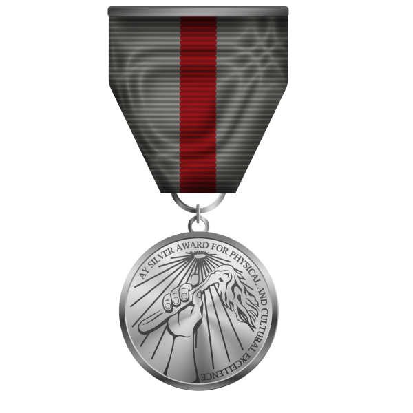 Файл:Transparent-Silver-1-2048x2048.png