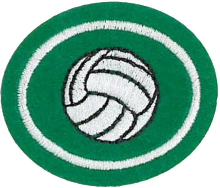 Файл:Volleyball AY Honor.png
