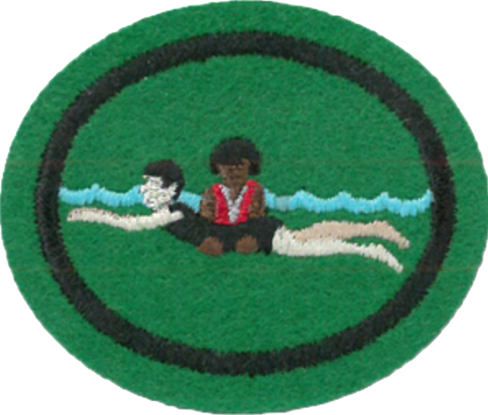 Файл:Water Safety Instructor AY Honor.png