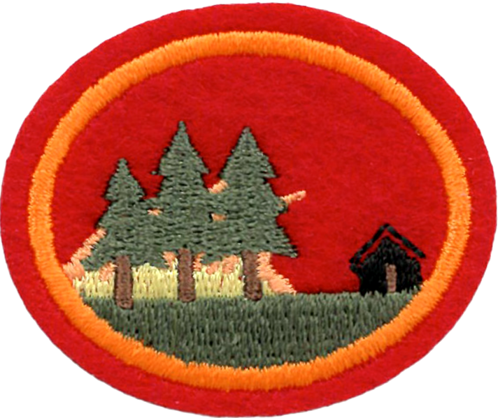 Файл:Wildfire Preparation and Prevention AY Honor.png